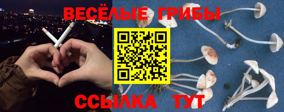 Псилоцибиновые грибы ЛСД  цены наркотик  Кострома  Вход с VPN 